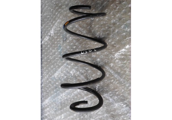пружина передня Renault Laguna, 8200361734, 8200000537, 8200361748 *